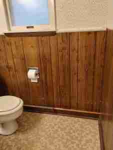 Bathroom Remodeling Project - before image toilet, wall and flooring